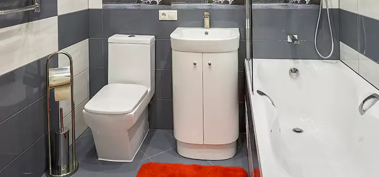 Hansgrohe Shaving Mirror Fullerton